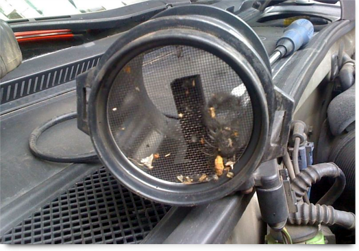 ДМРВ на ВАЗ 2114: особенности работы, диагностики и чистки датчика своими руками ДМРВ на ВАЗ 2114: особенности работы, диагностики и чистки датчика своими руками