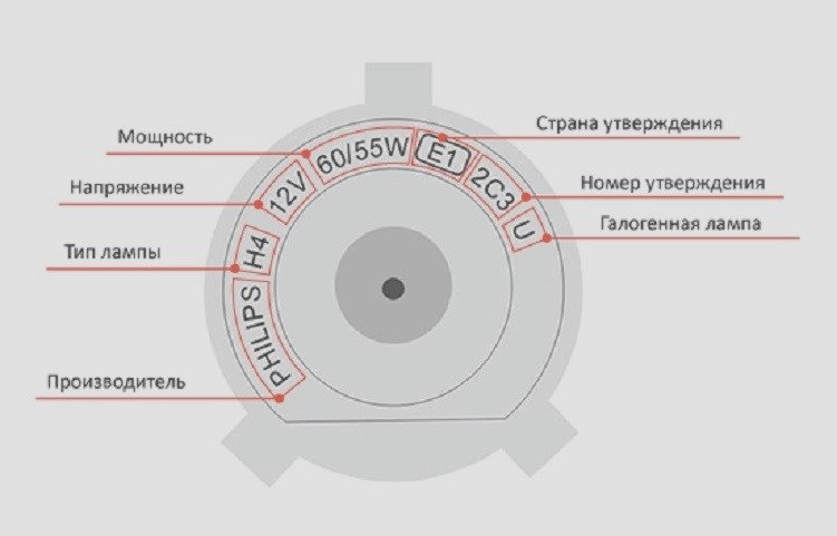 Обзор ламп ближнего света, инструкция по включению ближнего света Обзор ламп ближнего света, инструкция по включению ближнего света