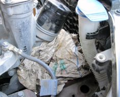 Как поменять масляный фильтр в Volkswagen Polo Sedan: пошаговая инструкция