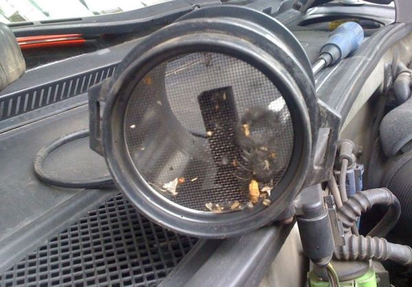 Признаки неисправности ДМРВ: как проверить датчик массового расхода воздуха, его ремонт и замена Признаки неисправности ДМРВ: как проверить датчик массового расхода воздуха, его ремонт и замена