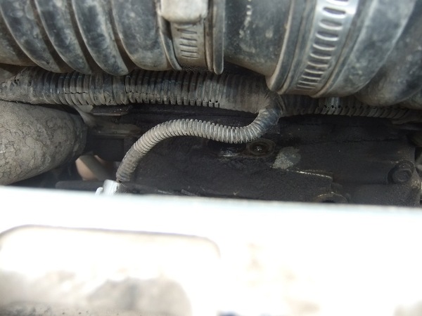 Где находится датчик температуры охлаждающей жидкости Chevrolet Niva, детонации, фаз и скорости, распредвала и уровня топлива Где находится датчик температуры охлаждающей жидкости Chevrolet Niva, детонации, фаз и скорости, распредвала и уровня топлива