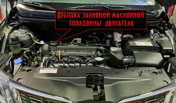 Самостоятельно меняем масло на автомобиле Киа Рио Самостоятельно меняем масло на автомобиле Киа Рио